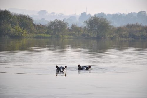 Tana See in Bahir Dar